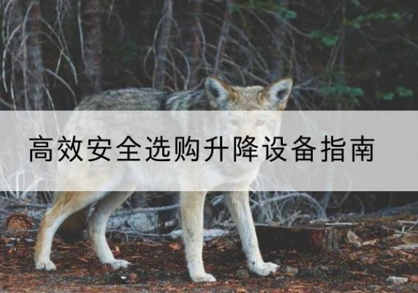 常德升降货梯厂家推荐-*安全选购升降设备指南