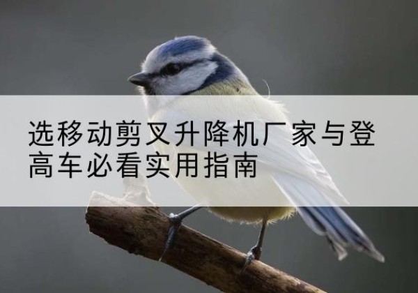 常德电动升降机厂家-选移动剪叉升降机厂家与登高车必看实用指南